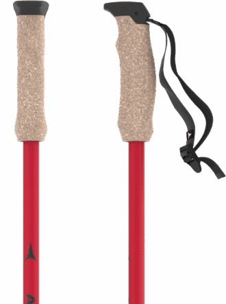 AMT CARBON